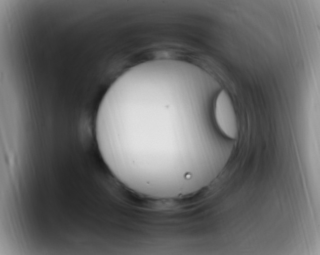 X0000099980363200805231028