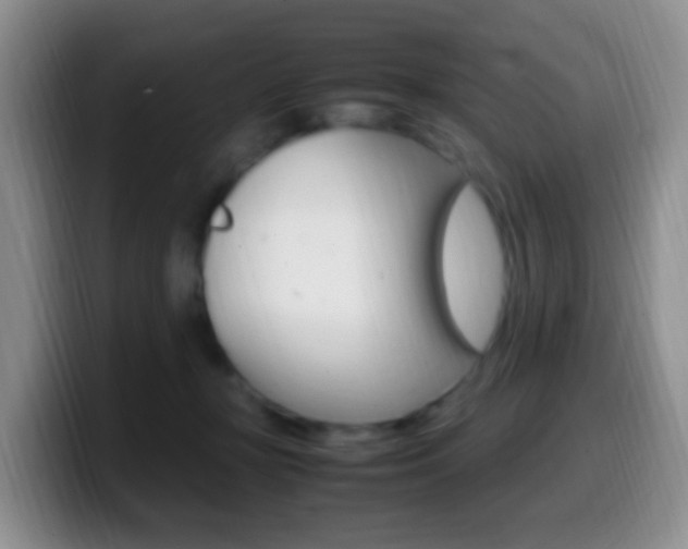 X0000099980367200805231028