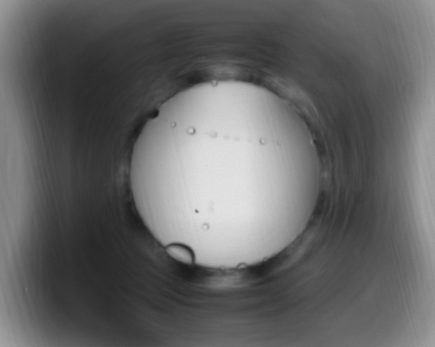 X0000099980369200805231028
