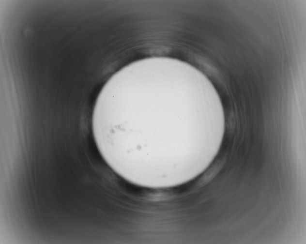 X0000099980370200805231028