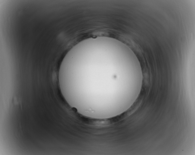 X0000099980375200805231028