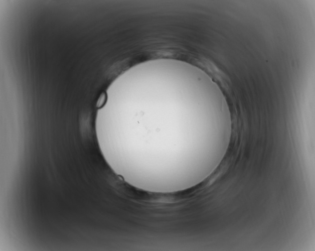 X0000099980377200805231028