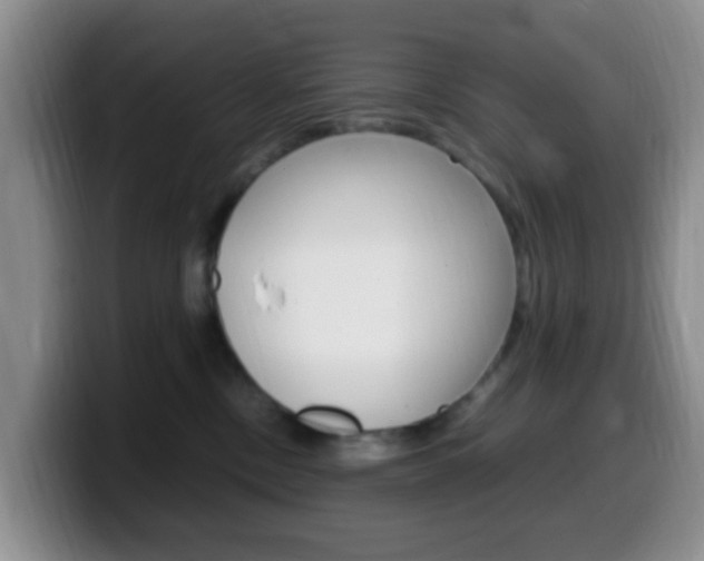 X0000099980378200805231028