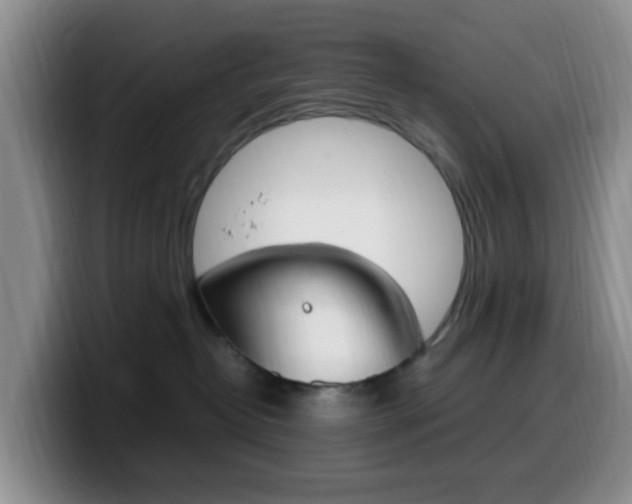 X0000099980382200805231028