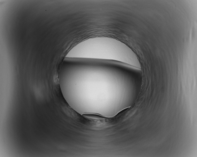 X0000099980384200805231028