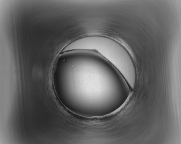 X0000099980385200805231027