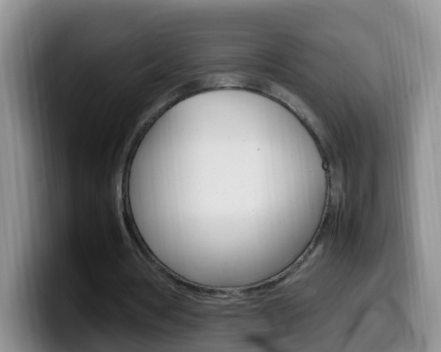 X0000099980386200805231027