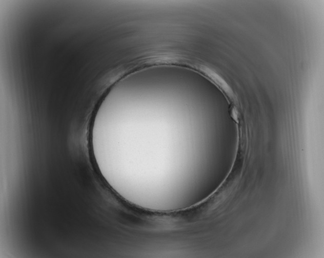 X0000099980389200805231027