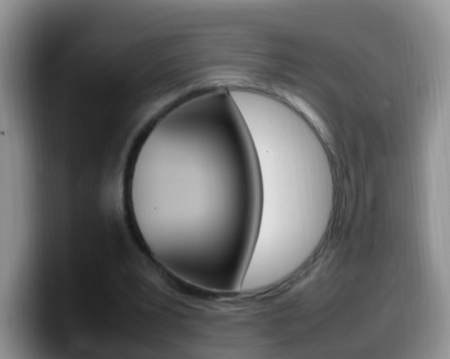 X0000099980391200805231027