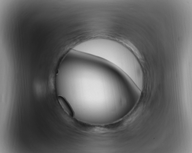 X0000099980393200805231027