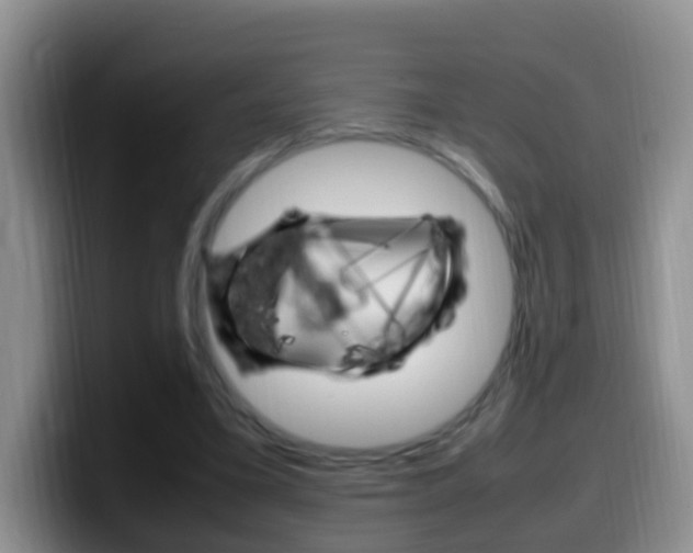 X0000099980395200805231027