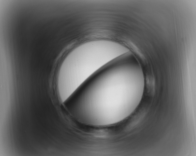 X0000099980396200805231027