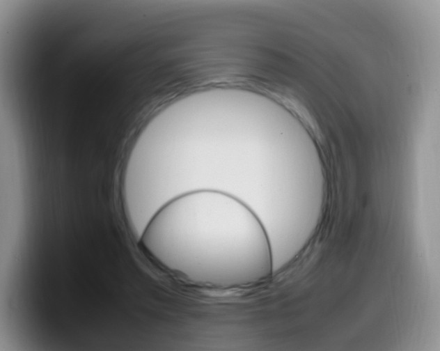 X0000099980397200805231027