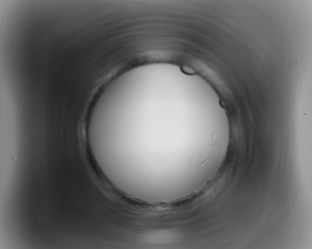 X0000099980398200805231027