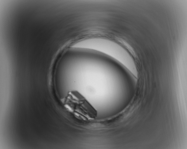 X0000099980399200805231027