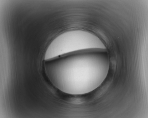 X0000099980404200805231027