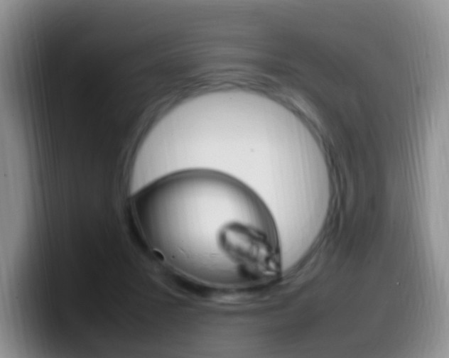 X0000099980407200805231027