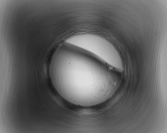 X0000099980408200805231027