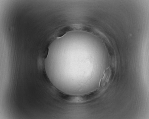 X0000099980409200805231027
