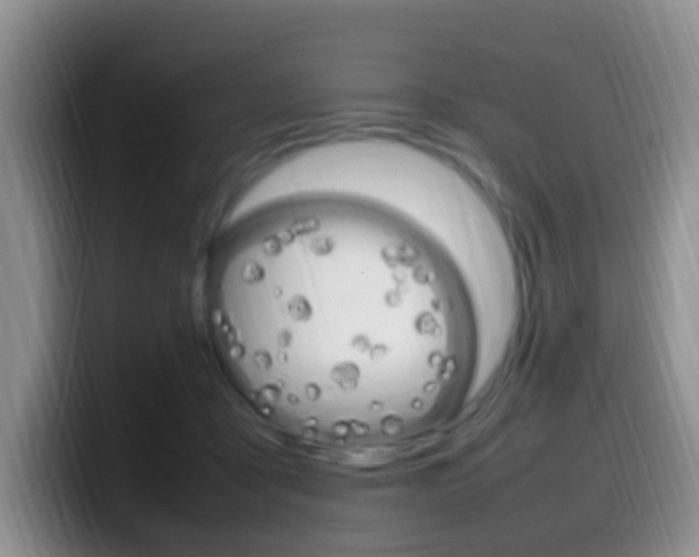 X0000099980411200805231027