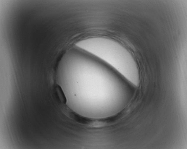 X0000099980413200805231027