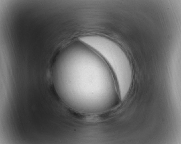 X0000099980415200805231027