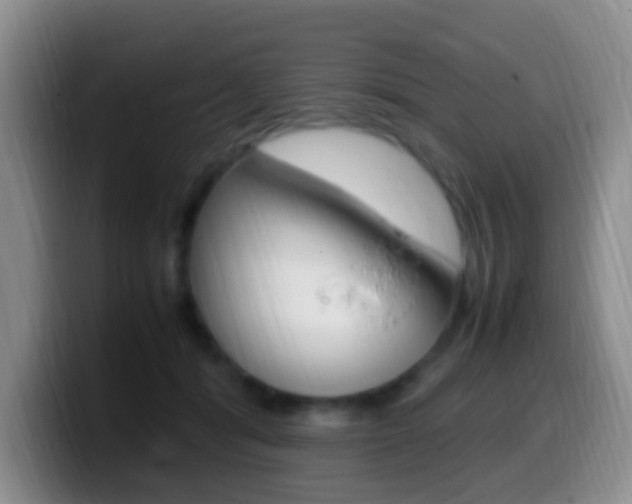 X0000099980416200805231027
