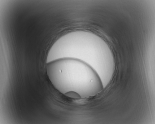 X0000099980417200805231027