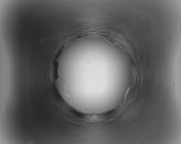 X0000099980419200805231027