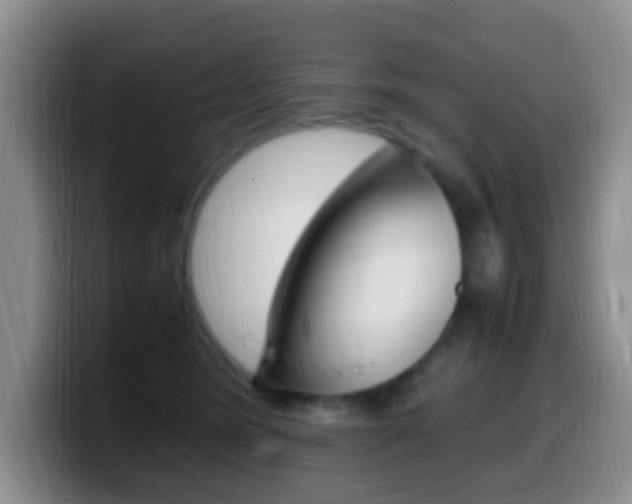 X0000099980420200805231027