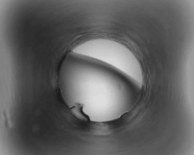 X0000099980421200805231027