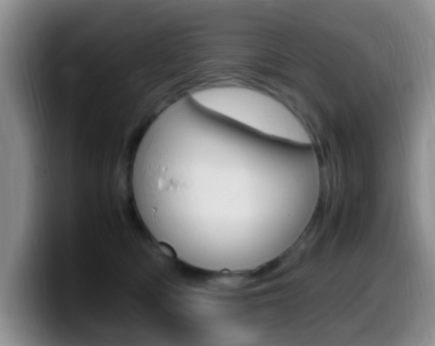 X0000099980422200805231027