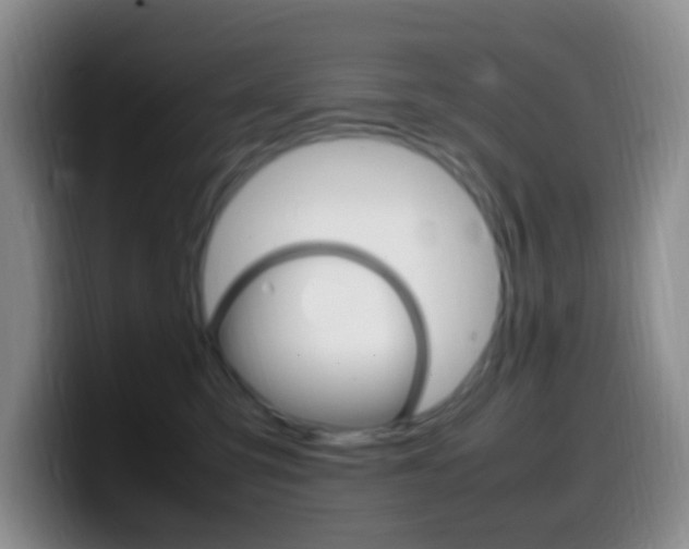 X0000099980423200805231027