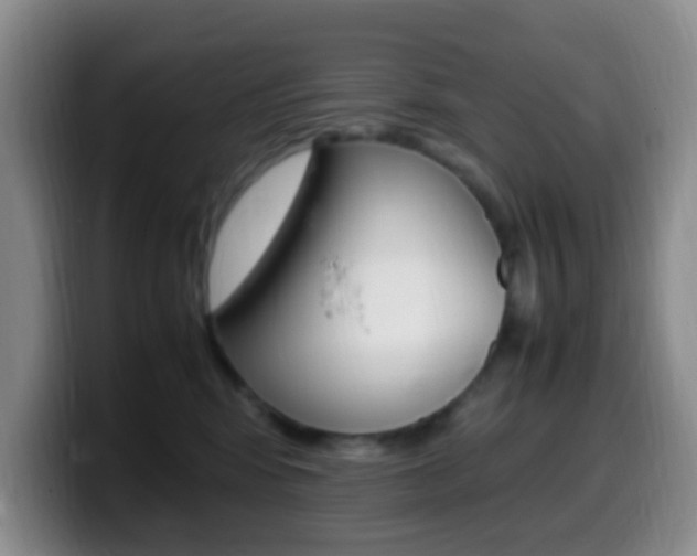 X0000099980424200805231027