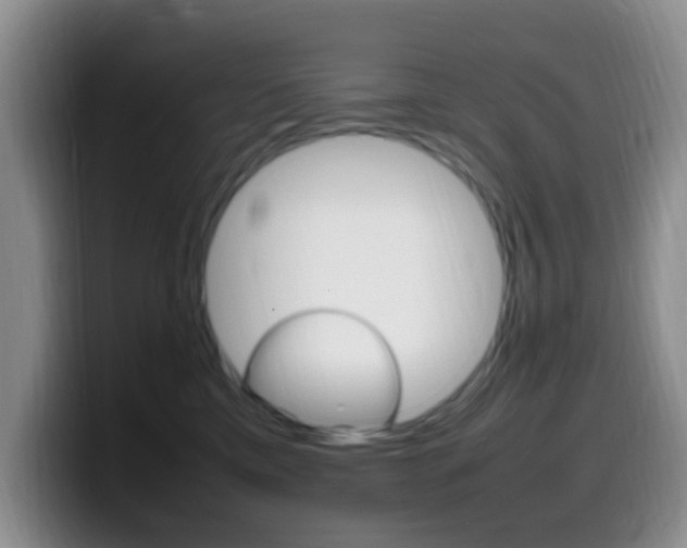 X0000099980425200805231027