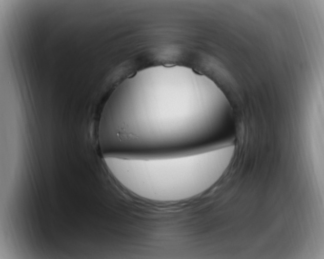 X0000099980428200805231027