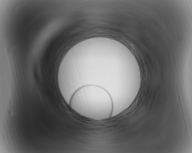 X0000099980429200805231027