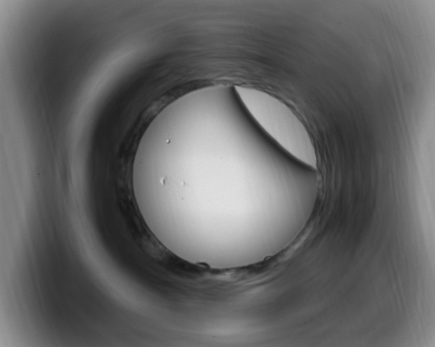 X0000099980430200805231027