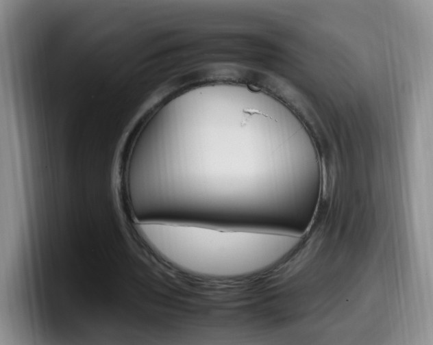 X0000099980435200805231026