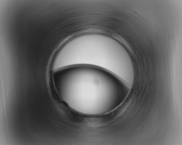 X0000099980436200805231026