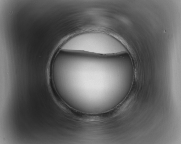 X0000099980438200805231026
