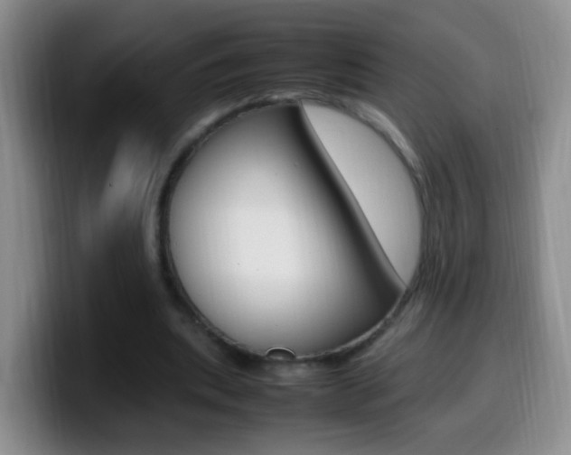 X0000099980439200805231026