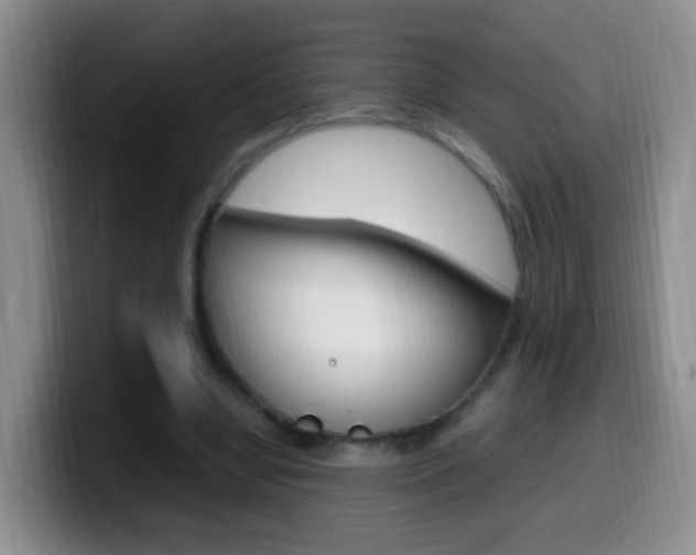X0000099980442200805231026