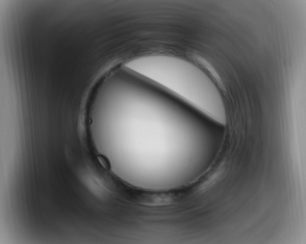 X0000099980443200805231026