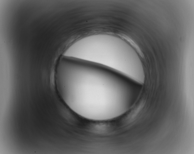 X0000099980445200805231026