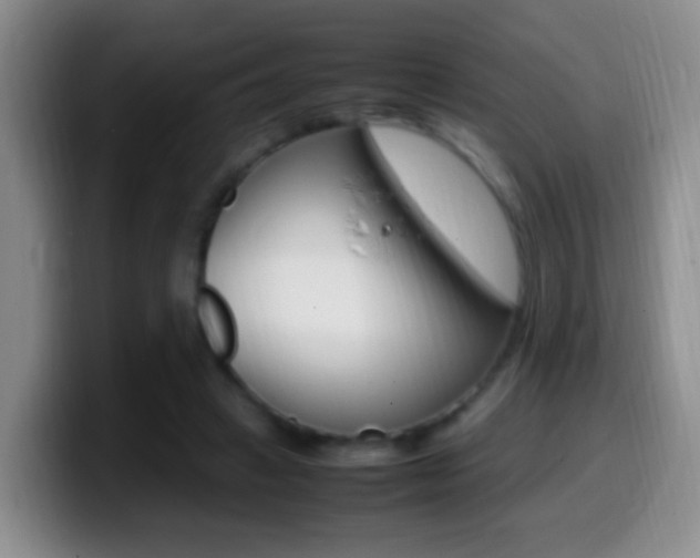 X0000099980449200805231026