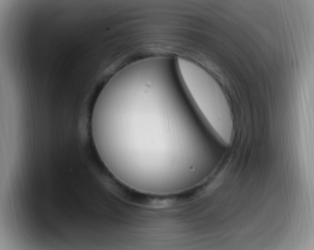 X0000099980450200805231026