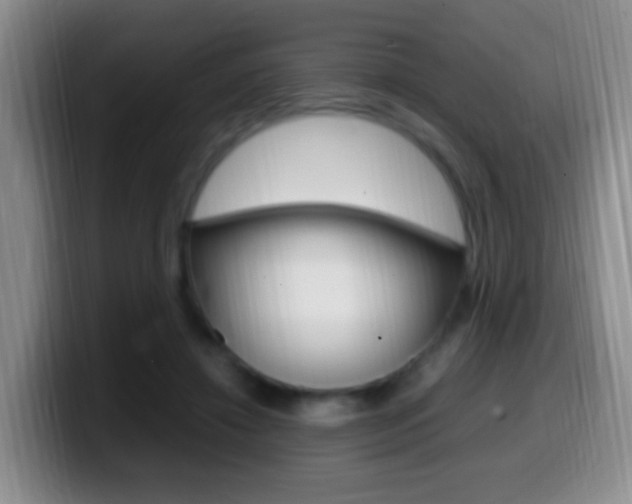 X0000099980452200805231026