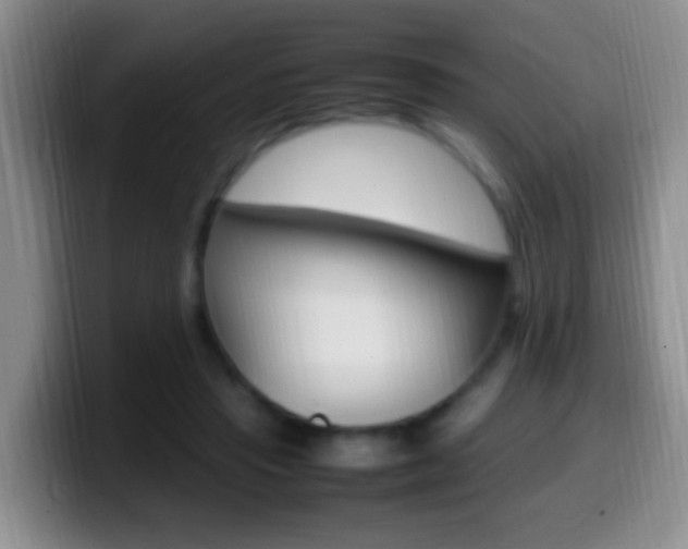 X0000099980453200805231026