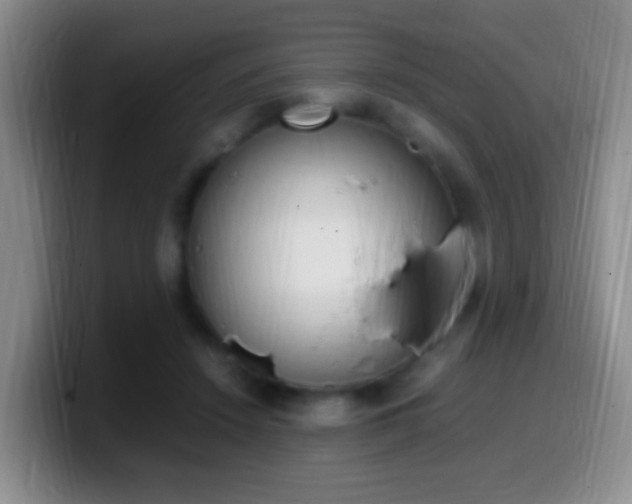 X0000099980456200805231027